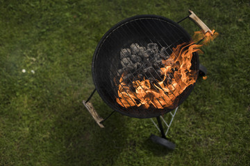 Grill on the garden, barbecue and fire background