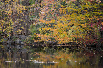 Autumn Lake