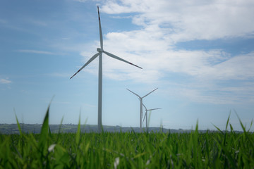 Wind farm on the field.
