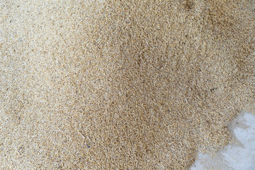 Pile of rice husk