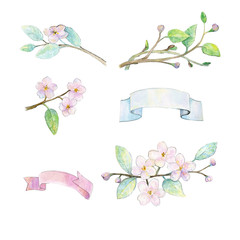 Spring floral set, blossom watercolor clip art, hand painted illustration, wedding invitations, bridal shower