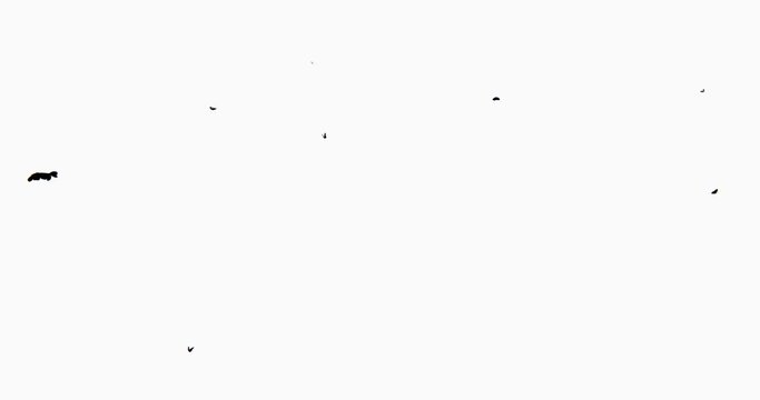 4k flying butterfly silhouette.