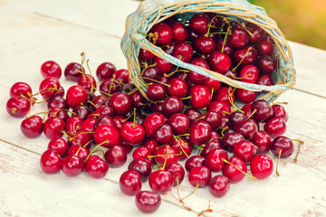Cherries scattered from the basket on a wooden table