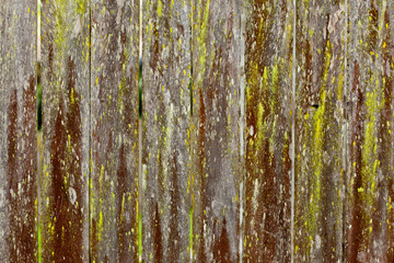 Obraz premium Old Textured wooden fence background