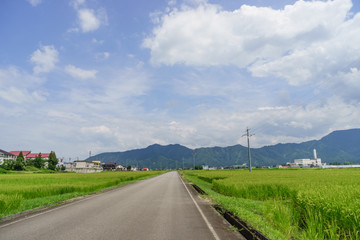  	夏の六日町の田園風景