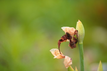 Beautiful appearance ...