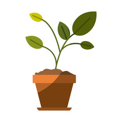 colorful silhouette of plant in flower pot with half shadow vector illustration