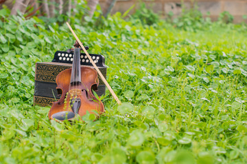.Violin with accordion Put on the lawn Wait for the party tonight