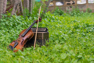 .Violin with accordion Put on the lawn Wait for the party tonight