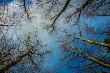 Natur, wandern, freizeit, urlaub