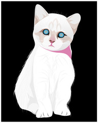 white cat vector design