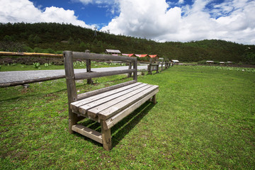 bench on the lawn