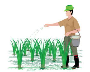 farmer manure rice plant vector design