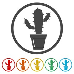 Cactus Collection icons set - Vector Illustration 
