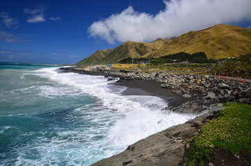 Wild coast in New Zealand