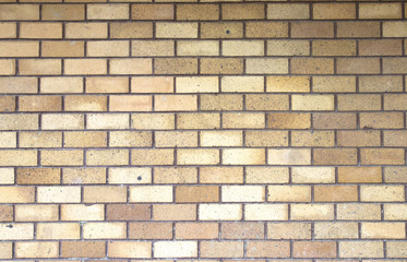 Obraz premium Old brick wall in a background image