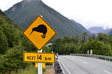 Road sign - kiwi