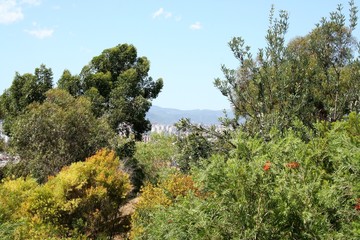 Fototapeta na wymiar Botanical garden on Montjuic hill at Barcelona