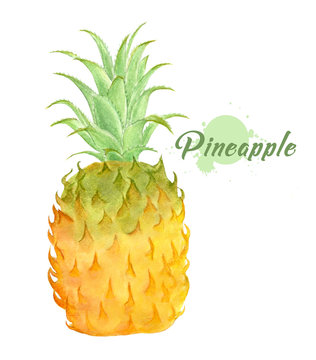 Watercolor fresh pineapple. Hand painted modern decorative fruit. single juicy pineapple isolated on white background. tropical fruit. Summer food illustration