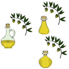 jojoba oil bottle, set in color