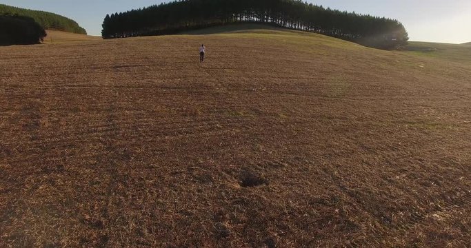 Fazenda p&oacute;s colheita