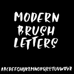 Fototapeta na wymiar Hand drawn dry brush font. Modern brush lettering. Grunge style alphabet. Vector illustration.