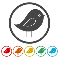 Bird Icons set Flat Graphic Design - Illustration 
