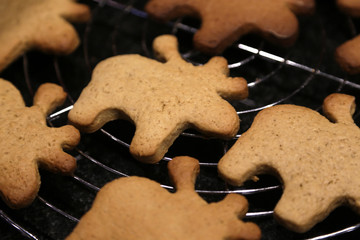 plätzchen für die weihnachtszeit