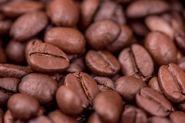 Close-up of coffee beans