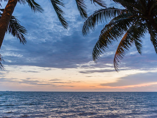 Naklejka na ściany i meble Silhouette of coconut palm tree with sunset sky background at the beach,