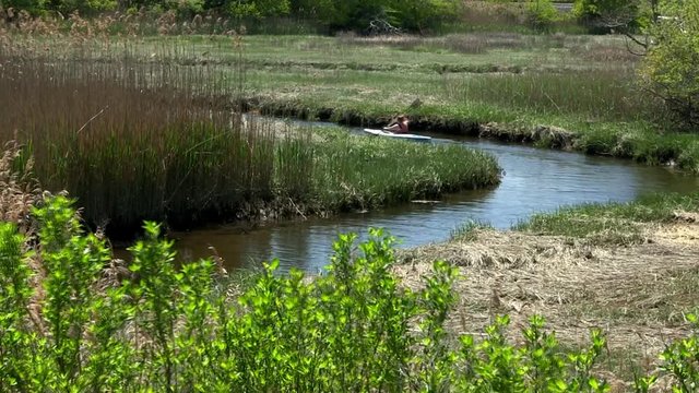 Kayaker makes her way around bend of narrow stream through inland salt marsh on scorton creek in Sandwich Cape Cod