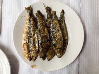 Grilled sardines on a white plate