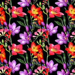 Wildflower fresia flower pattern in a watercolor style. Full name of the plant: fresia. Aquarelle wild flower for background, texture, wrapper pattern, frame or border.