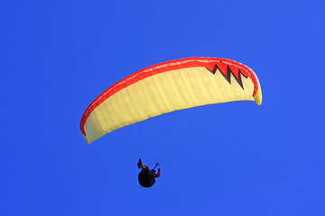 Paraglider