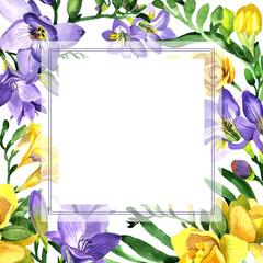 Wildflower fresia flower frame in a watercolor style. Full name of the plant: fresia. Aquarelle wild flower for background, texture, wrapper pattern, frame or border.