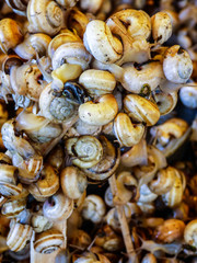Snails for sale on a street market