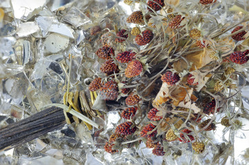 Dried bouquet of wild strawberries