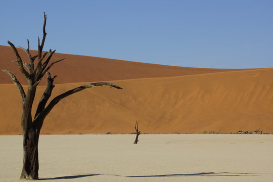 Dedvlei, the African Deathvalley
