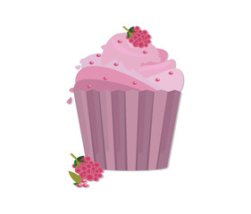 Cupcakes desserts Vector design. Delicious cupcakes set. Sweet raspberry flavors Vector illustration flat style