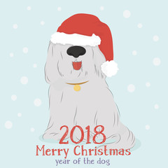 Christmas card with a big shaggy dog breed Bobtail with Santa hat on light blue background with snow