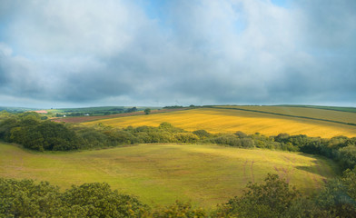 Fototapeta na wymiar summer landscape in Cornwall, UK