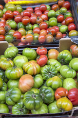 Tomatoes for Sale on Market Stall, Bologna