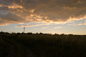 sunset silhouette in nature. summer sunset on hill silhouette of tree