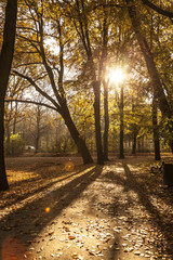 Fototapeta premium Tiergarten in Berlin