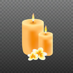 Realistic candles with plumeria flowers