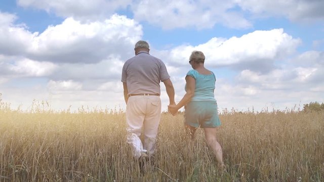 High quality video of senior couple walking in the oat field in real 1080p slow motion 250fps More videos from this series in my portfolio