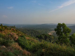Fototapeta na wymiar Munnar Landscape