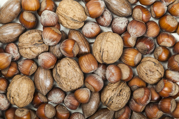 Nussmischung aus Wallnüssen, Haselnüssen und Pecannüssen