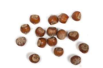 Haselnüsse Freisteller