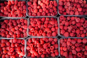 Fresh raspberries as background